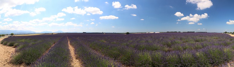 IMG_9530 (2)_panorama.jpg